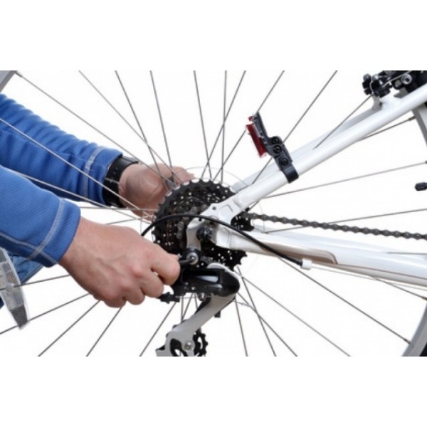 Vrhunski osnovni servis vašega kolesa za običajno ceno. Servis vključuje nastavitev prestav in zavor,
centriranje platišč in
kontrolo vitalnih delov.